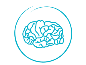 brain icon