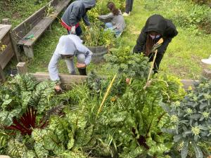 students in garden
