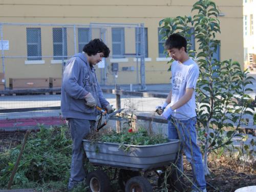 Gateway's School Garden