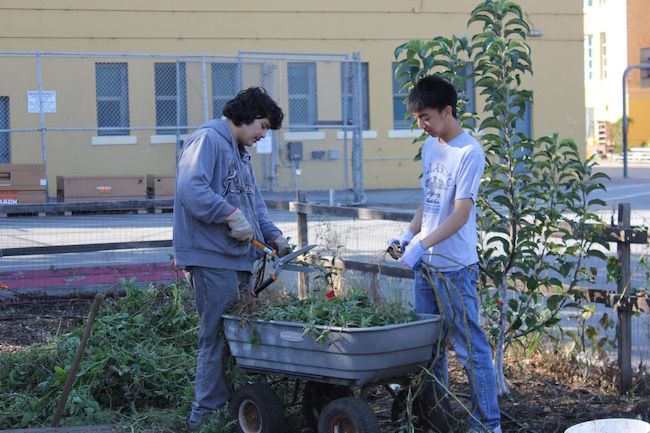 Gateway's School Garden