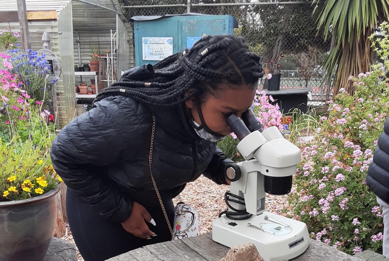 student using microscope