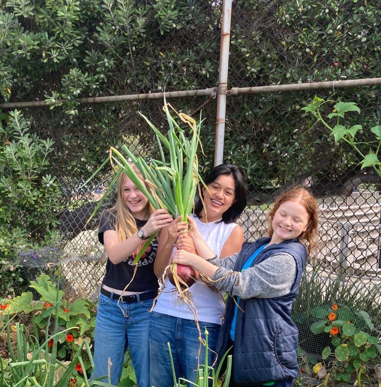 Three Students holding a plant